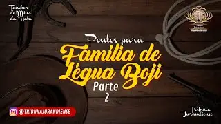 Pontos para Família de Légua Boji #parte 2
