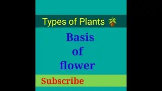 Flowering | Non flowering | Science Facts #shorts #ytshorts #sciencefactsshreya