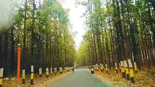 Tiktok Viral Selfee Road In Pathari Morang/Tirthasing Tamang/TST Official Vlos/Morang Nepal/Anxmus