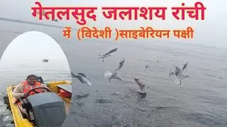 Getalsud Dam Ranchi  ( India) in Siberian bird गेतलसुद जलाशय रांची में भी( विदेशी) साइबेरियन पक्षी