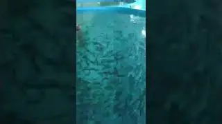 первая а России морская узв