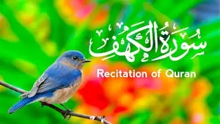 Sureh Al kahaf (سورہ الکہف )By Qari Abdullah Ahmed Shuban |So beautiful voice |peace of mind 
