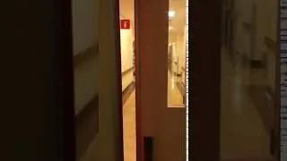 Icu door