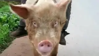 Нарезка приколов и не только, Смотрим!