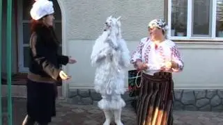 Tezaut cultural Petrunea