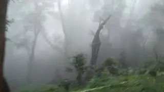 TREK THROUGH SILENT VALLEY