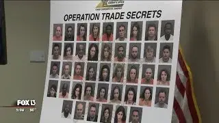 Florida deputies arrest 85 in human-trafficking sting