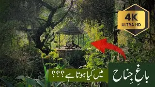 Bagh-e-Jinnah 4k | Lawrence garden | Jinnah Park Lahore | Bagh e Jinnah | Jinnah Bagh Lahore