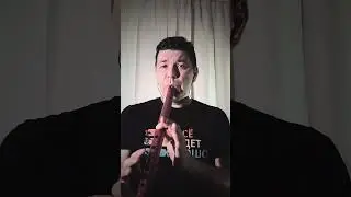 Music of Travel - G&uuml;l&uuml;mcan (Turkish melody cover) 3 #quenacho  #quena