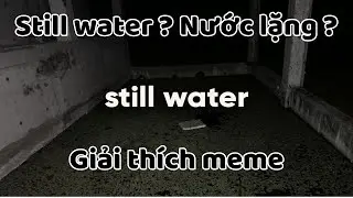 Still Water l&agrave; g&igrave; ? | Giải th&iacute;ch meme