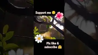 #successchallenge #youtubeshorts#wallpaper #success#shorts#today #viralshorts#viralvideo#music #aim