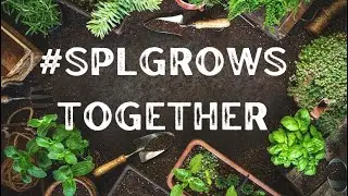 Syosset Public Library Grows Together- Our Seed Libraries