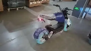 ES1007 Strollwheel Electric Chopper Scooter 2000W 60V 20AH Battery Electric Citycoco Motorcycle