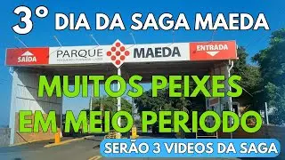 TANC&Atilde;O MAEDA - Nunca pescamos tanto peixe em meio periodo #bigfish #pesca #fishing