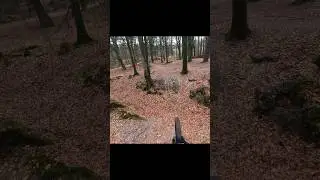 Flat out jump line ✊ #mountainbike #extreme #stunt #downhill #downhillbike #mtb #jump #rampage