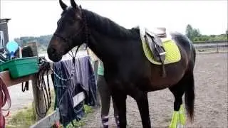 Morning Ride Routine!