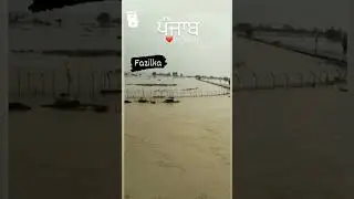 flood #punjab #fazilka #flood