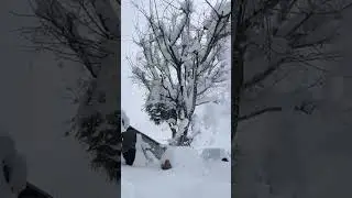 🫶Kumrat valley right now 🌧️ #snow #majestic #beutifull #kumratvalley #beutifull #snowfall