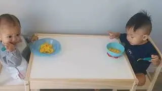 IKEA Latt Kids table & chairs FUN Assembly with Gab2x and Zeus