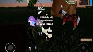 PLAYING RANDOM GAMES BC I NEED VIEWS
