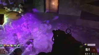 NEW Black Ops 2 Zombies PHD Flopper - Has This Person Got PHD FLOPPER?