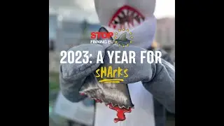 #StopFinningEU: This was 2023