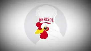 The Story of Agrisol