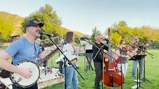 Backyard Breeze Live Original