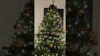Christmas Decoration AFTERMATH