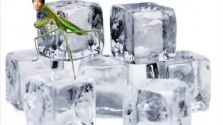 Mike Sulu - Insects On Ice (Bjorn Nafe Remix)