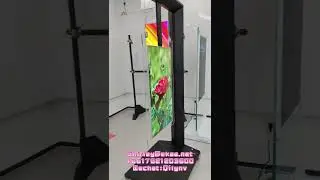 Double side display