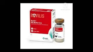 لقاح IBR