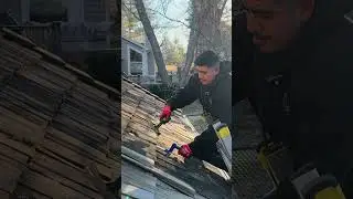 Expert Tips: Removing a Damaged Cedar Shake Like a Pro! 🤯🏠🔨 #Roofing #DIY #Construction