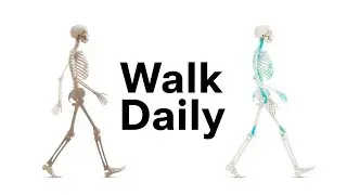 Your Bones Change When You Walk Every Day for 30 Days.