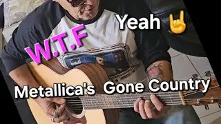 Slow Down Metallica- 🐌 Master Of Puppets Acoustic Madness 🎸