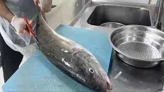 fish cutting | haris fishworld