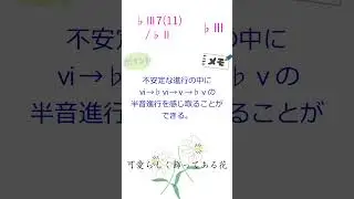 【分数aug】たぶん唯一無二のコード進行を解説してみた【地産地消】 #Shorts