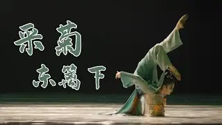 #中国古典舞 采菊东篱下-秦菲遥 chinese classical dance #dancer #classicaldance #chineseclassicaldance #古典舞 #国风 #舞蹈