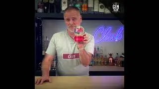 Gin Snow Globe