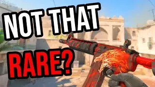 I Found The RAREST Skins In CS2