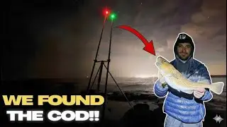 The COD Catching Comeback | Northumberland | North East Sea Fishing