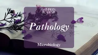 Microbiology 🦠 | Bacteria, Viruses, Fungi & Protozoa Explained | Levinson Simplified