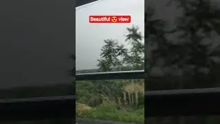 South ⬇️||Train View||Nature #trending #south #train #travel #tranding