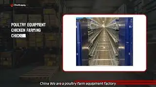 High-Quality Stacking Chicken Cage Manufacturer in China