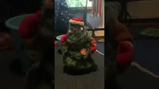 Smart industrial group rock along Christmas tree