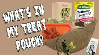 What's In My Dog Training Bag - Treat Pouch