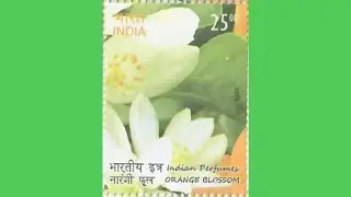 Orange Blossom: Buy Indian Stamp From Philacy.com