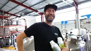How Gekko Brewing transformed their brew day with TNS Hop Oils | Craft beer innovation