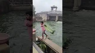 Catching fish in godavari river using net #trending #fishing #net #river #godavari #sunday