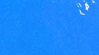 Blue Swimming Pool Animation | Water Motion Background